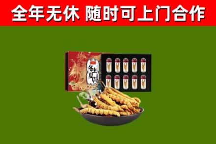 汉源县回收冬虫夏草价格